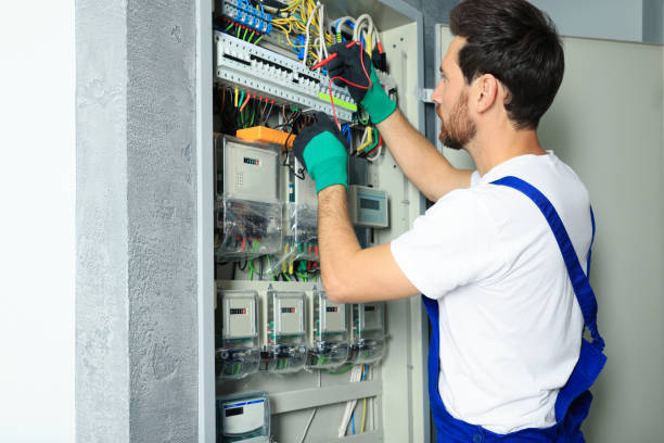 Best Electrician Near Me  in Baldwin, MI