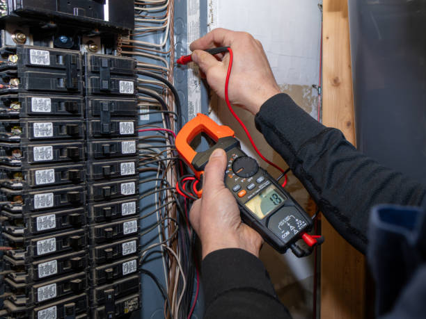 Best Electrical Upgrades for Homes  in Baldwin, MI