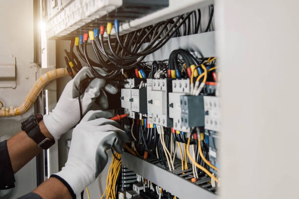 Best Generator Installation Services  in Baldwin, MI